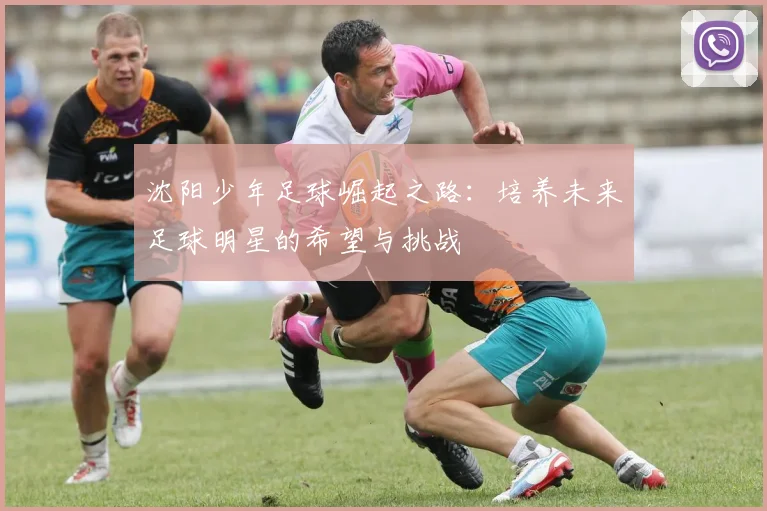 沈阳少年足球崛起之路：培养未来足球明星的希望与挑战