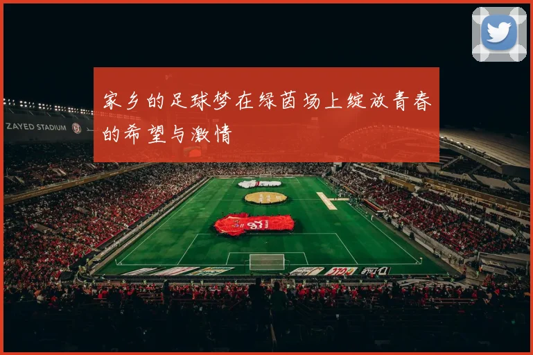 家乡的足球梦在绿茵场上绽放青春的希望与激情